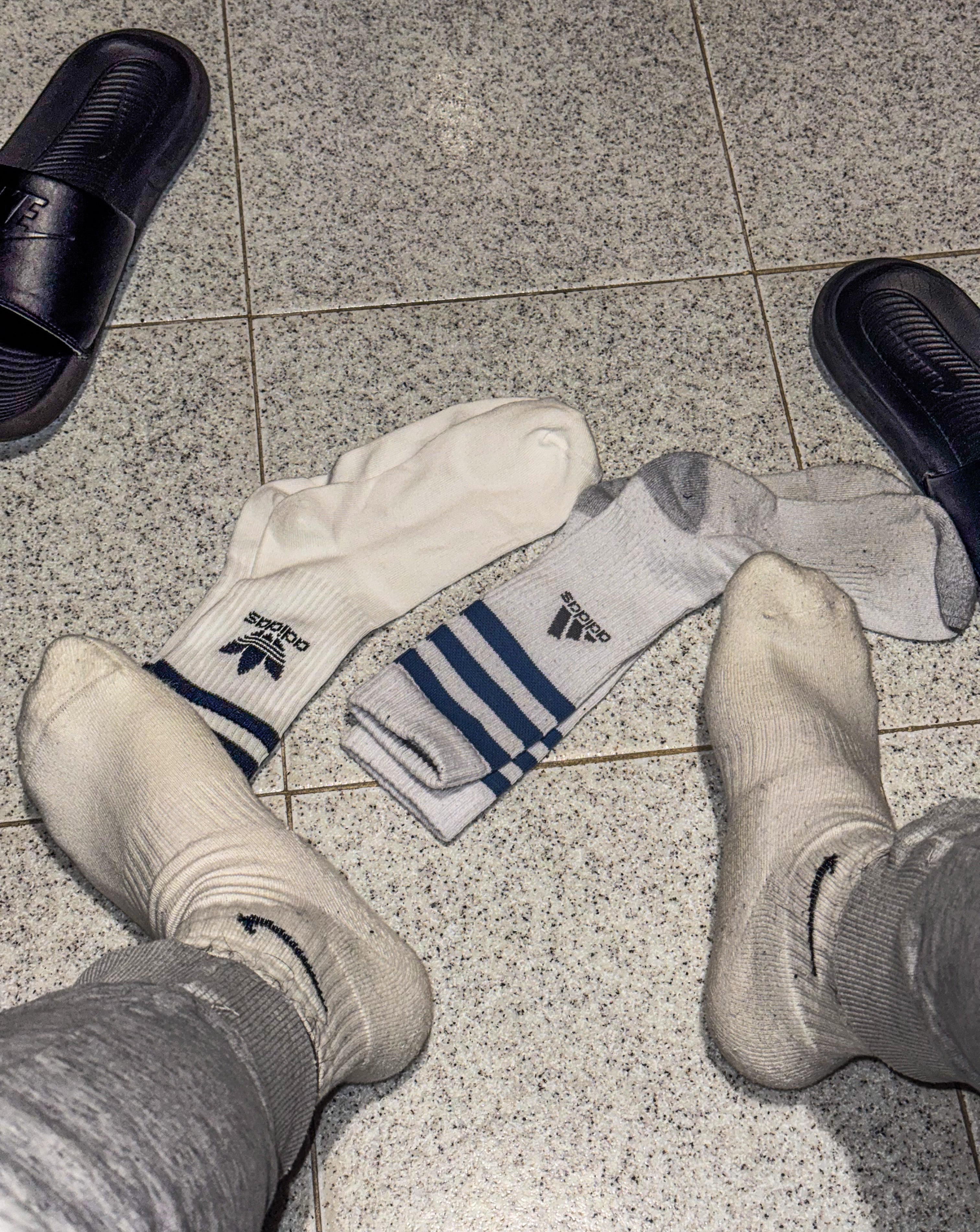 White Socks Bundle